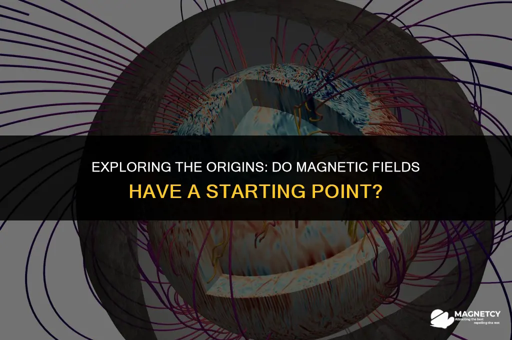 do magnetic fields have a starting point