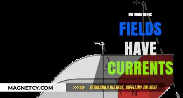 Exploring the Intricacies: Do Magnetic Fields Harbor Electric Currents?