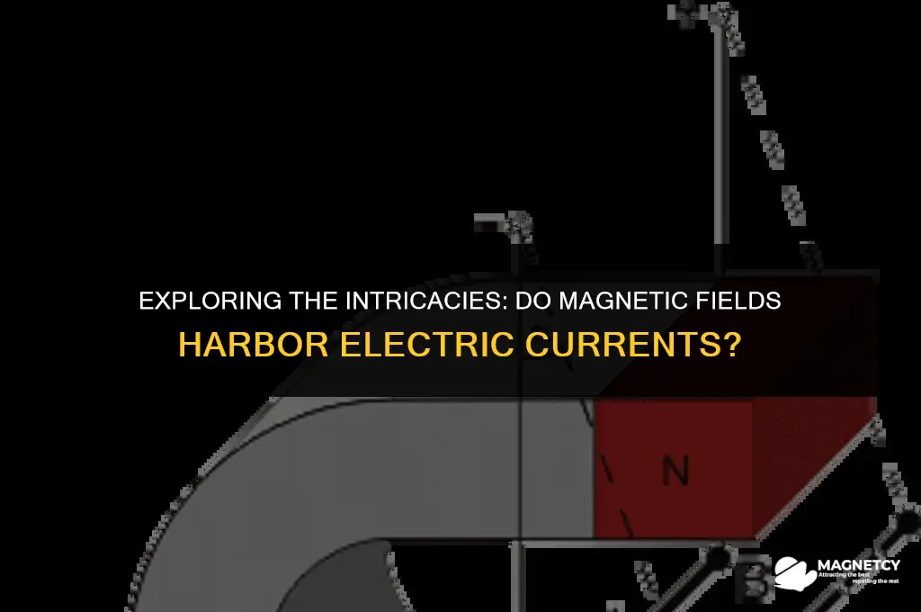 do magnetic fields have currents