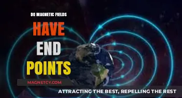 Exploring the Boundless Nature of Magnetic Fields: Do They Truly Have Endpoints?