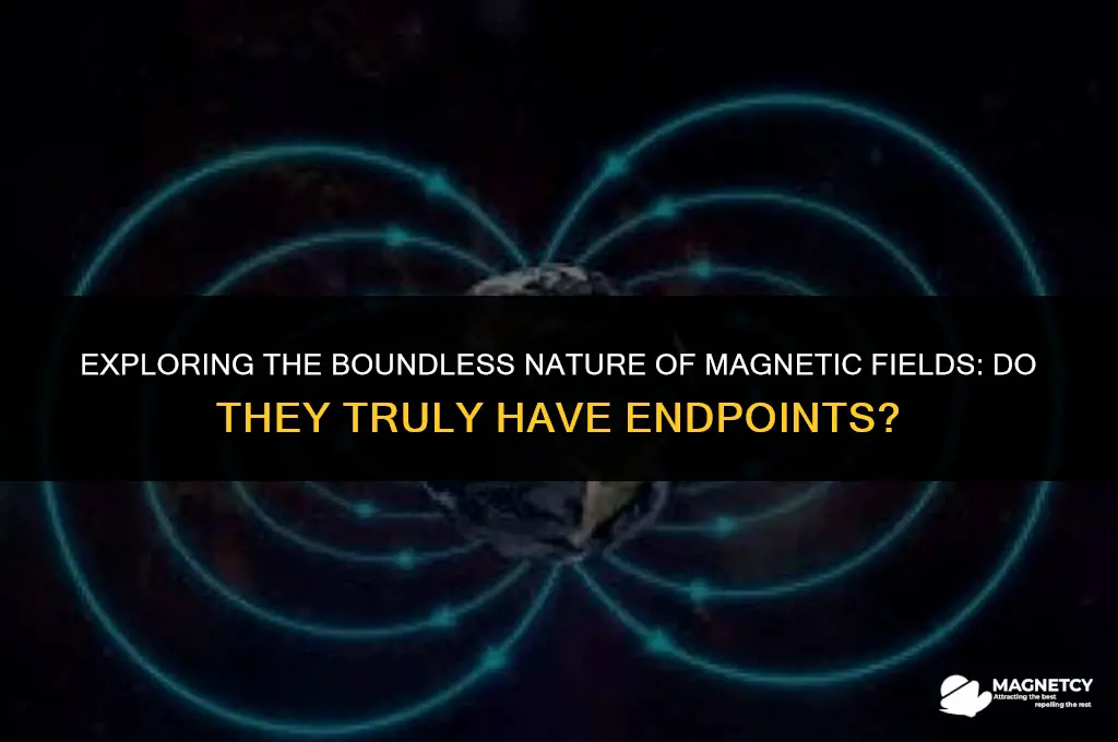 do magnetic fields have end points