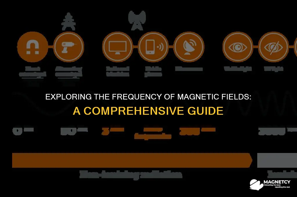 do magnetic fields have frequency