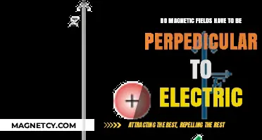 Exploring the Orthogonality of Magnetic and Electric Fields
