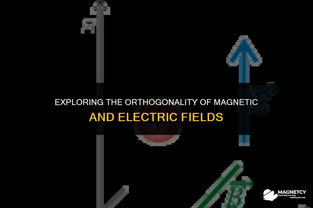 do magnetic fields have to be perpedicular to electric