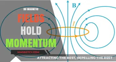 Exploring the Momentum-Carrying Potential of Magnetic Fields
