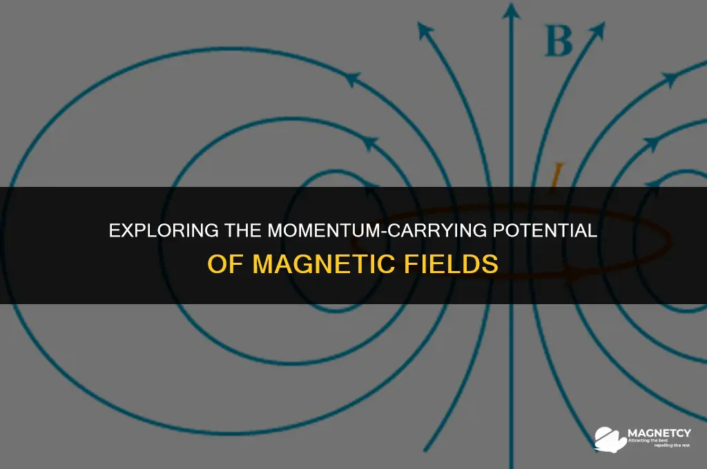 do magnetic fields hold momentum