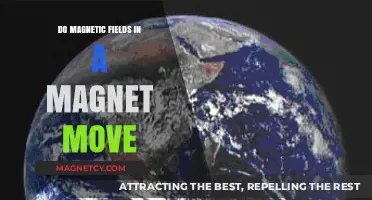 Exploring the Dynamics of Magnetic Fields Within Magnets