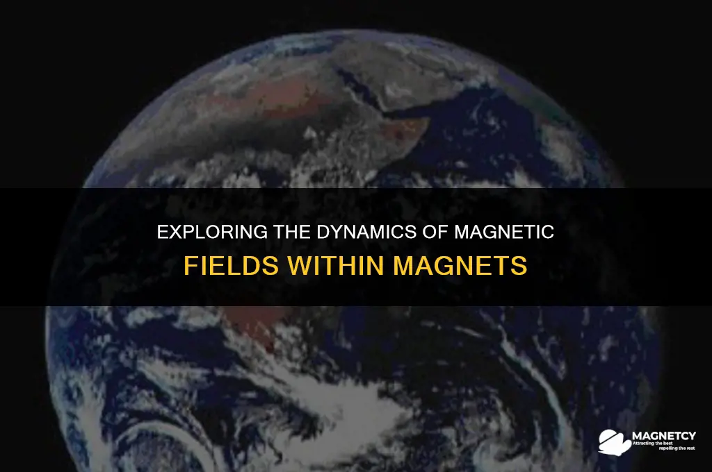 do magnetic fields in a magnet move