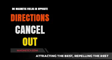Exploring the Interaction of Opposing Magnetic Fields: Do They Cancel Out?