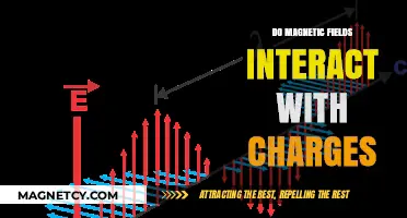 Exploring the Intricacies: How Magnetic Fields Interact with Charges