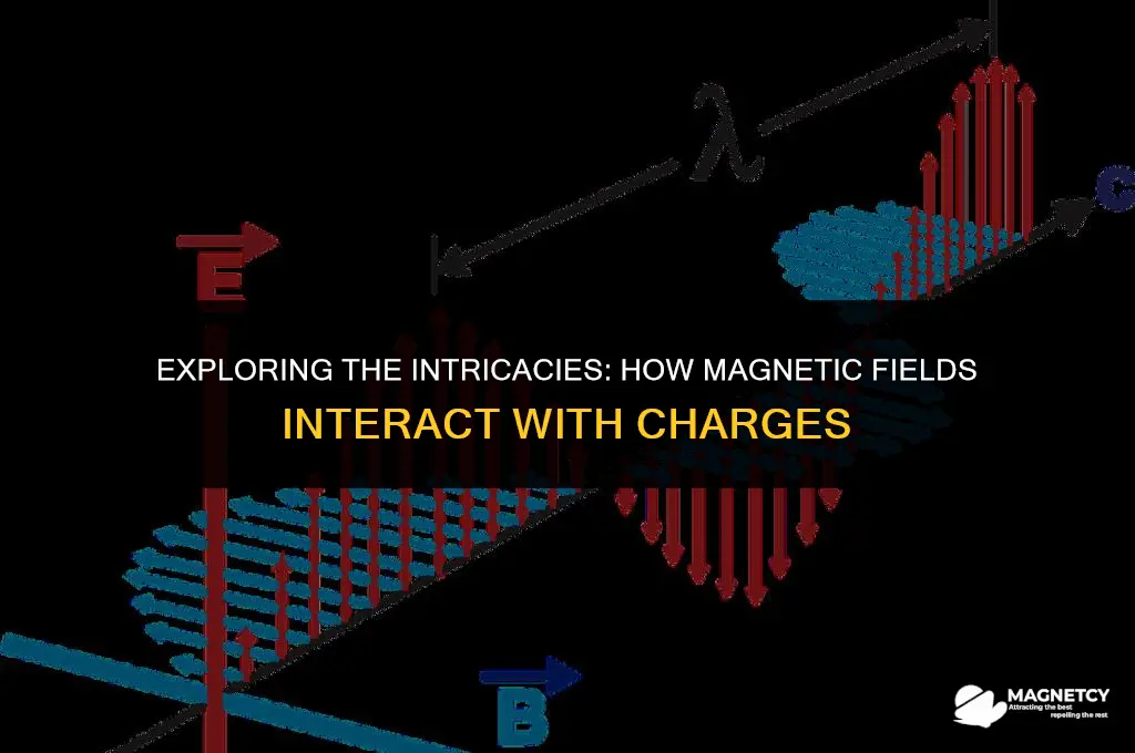 do magnetic fields interact with charges