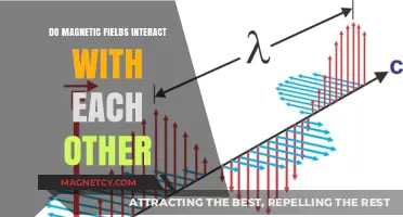 Exploring the Invisible Dance: How Magnetic Fields Interact