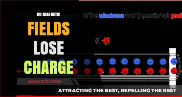Exploring the Mysteries of Magnetic Fields: Do They Really Lose Charge?