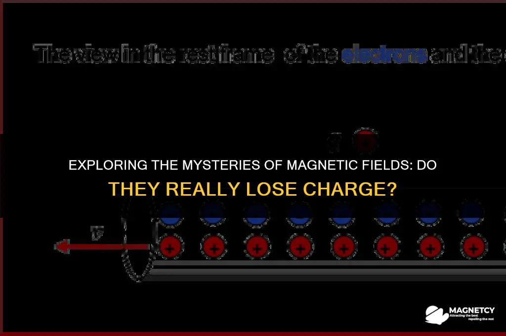 do magnetic fields lose charge