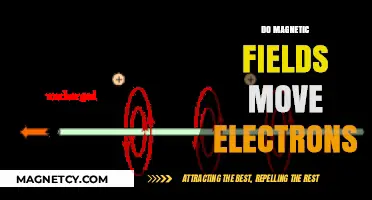 Exploring the Interaction: How Magnetic Fields Influence Electron Motion