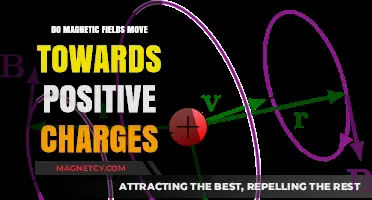 Exploring the Interaction: Do Magnetic Fields Move Towards Positive Charges?