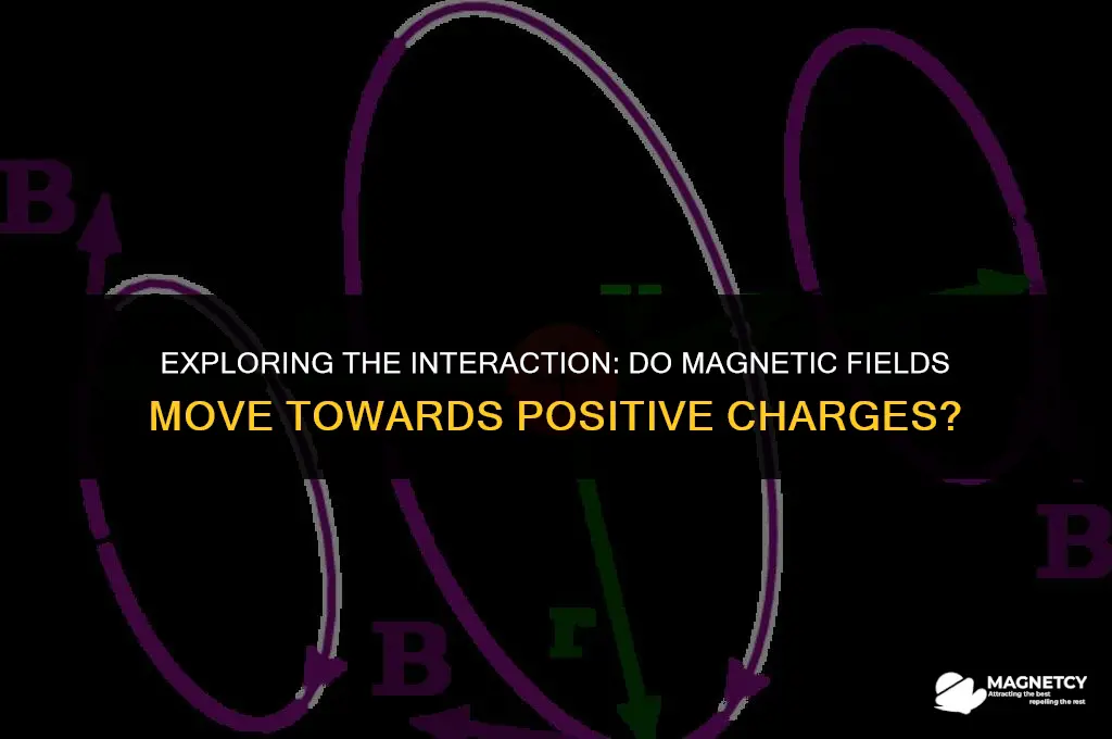 do magnetic fields move towards positive charges
