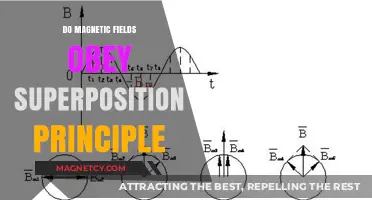 Exploring the Superposition Principle in Magnetic Fields: A Comprehensive Guide