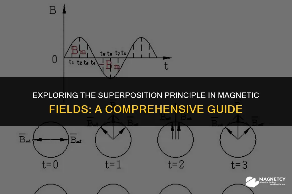 do magnetic fields obey superposition principle