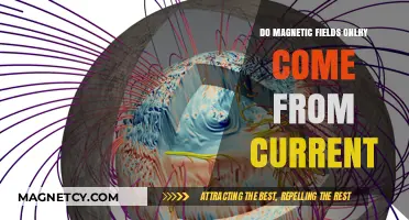 Exploring the Origins of Magnetic Fields: Beyond Electric Currents