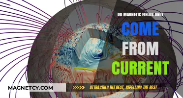 Exploring the Origins of Magnetic Fields: Beyond Electric Currents