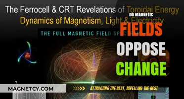 Exploring the Dynamic Nature of Magnetic Fields: Resistance to Change