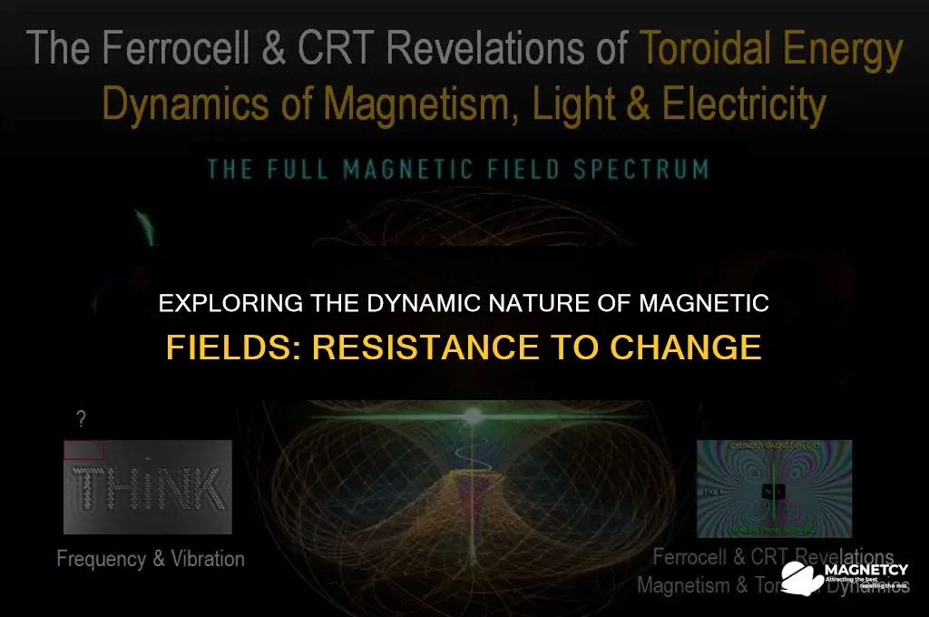 do magnetic fields oppose change