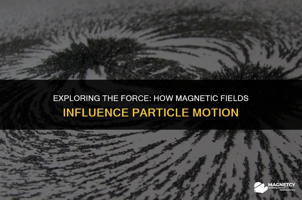 do magnetic fields push particles