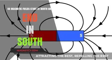 Exploring the Myth: Do Magnetic Fields Truly Begin at North and End at South?