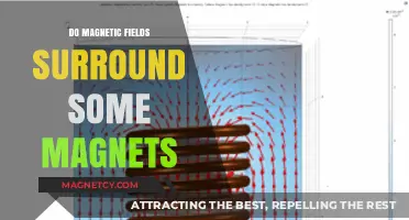 Exploring the Invisible: Do Magnetic Fields Envelop All Magnets?