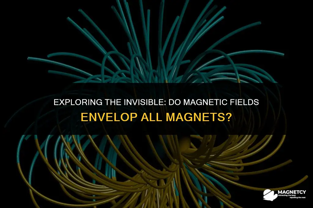 do magnetic fields surround some magnets