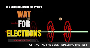 Unraveling the Mystery: Do Magnetic Fields Affect Electrons Differently?