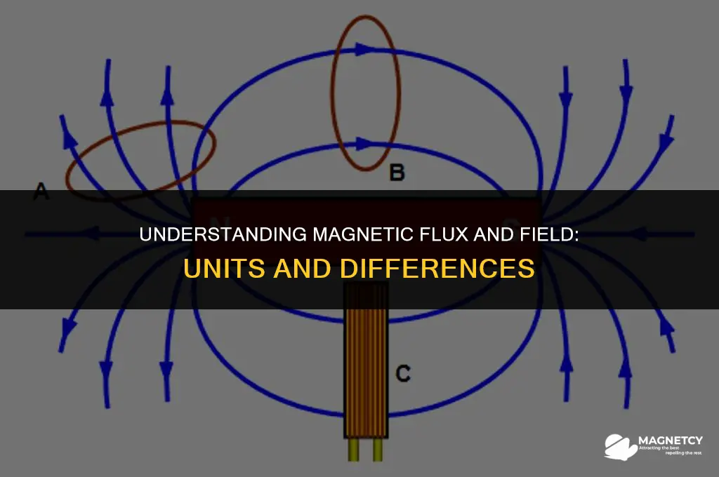 do magnetic flux and magneitc field have same units