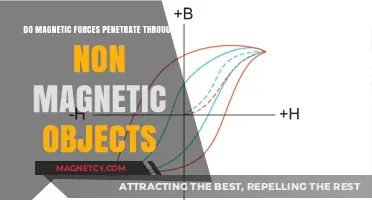 Exploring the Permeability of Magnetic Forces Through Non-Magnetic Materials