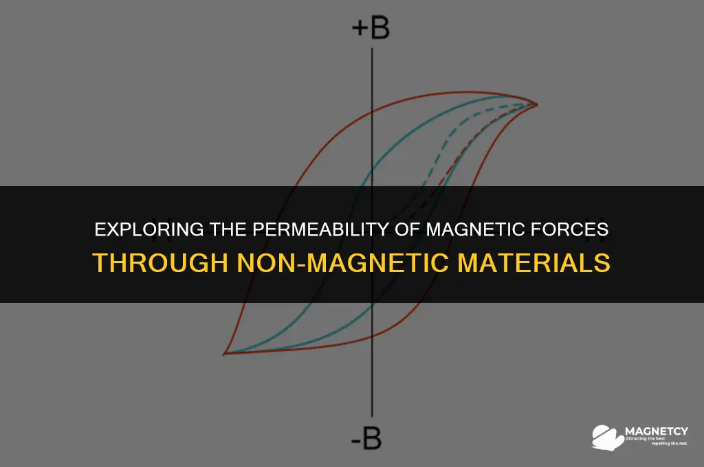 do magnetic forces penetrate through non magnetic objects