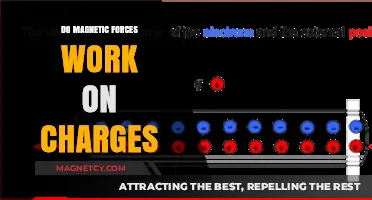 Exploring the Interaction: Do Magnetic Forces Affect Charges?