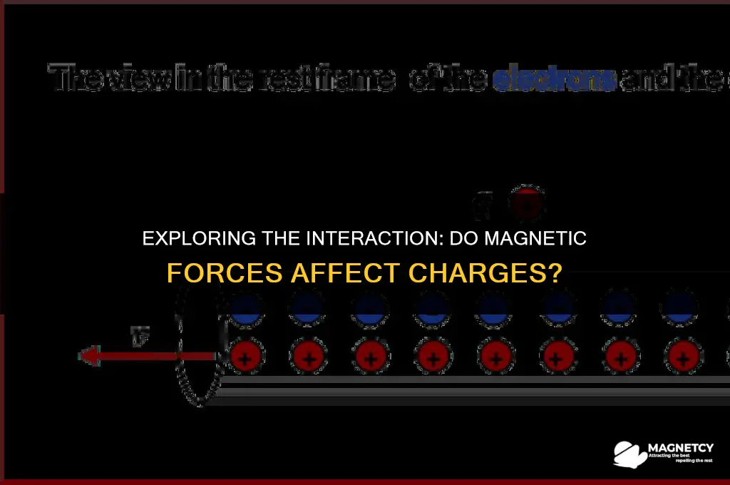 do magnetic forces work on charges