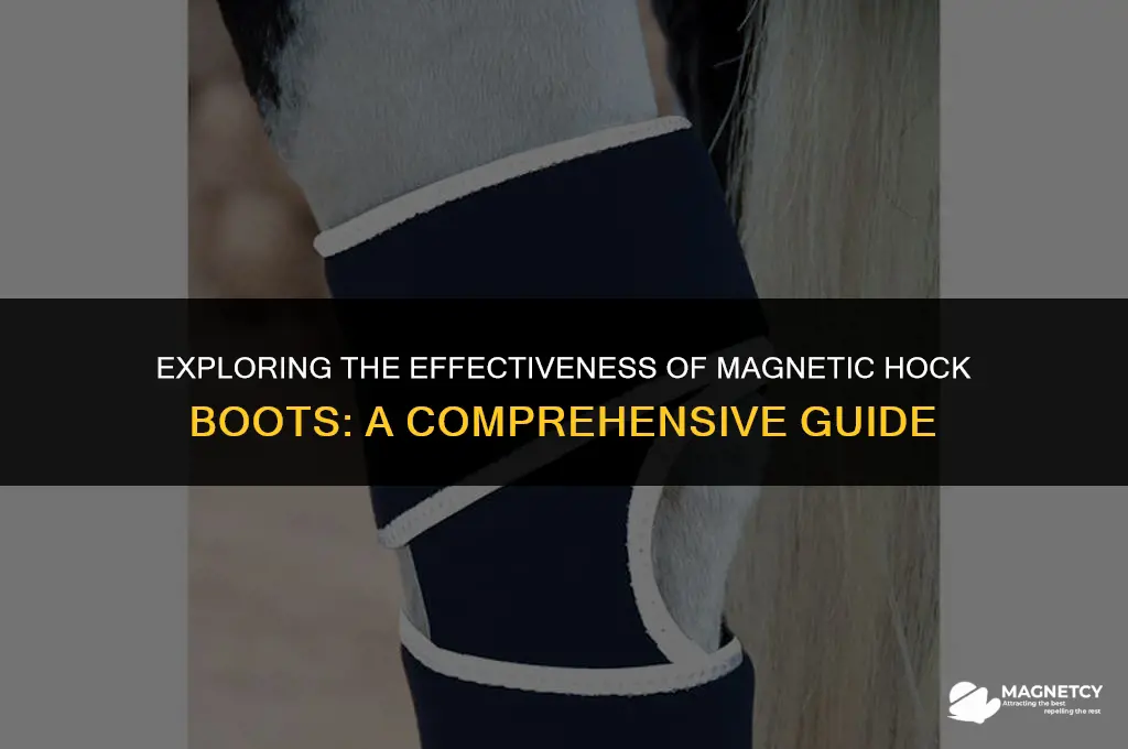 do magnetic hock boots work