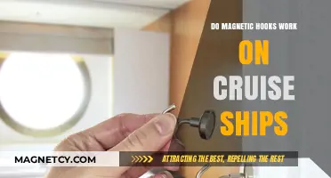 Exploring Magnetic Hooks: A Practical Guide for Cruise Ship Enthusiasts