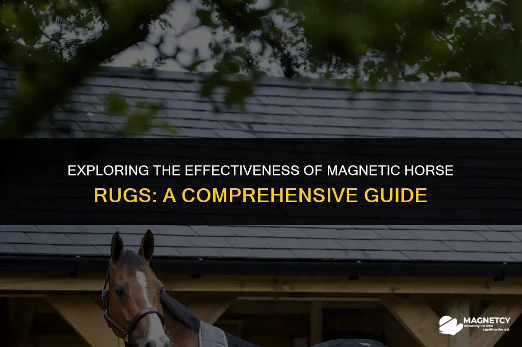 do magnetic horse rugs work