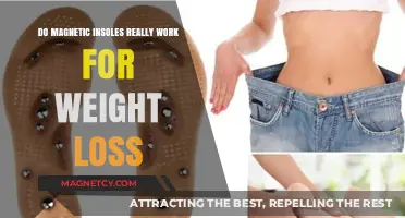 Unveiling the Truth: Do Magnetic Insoles Aid Weight Loss?