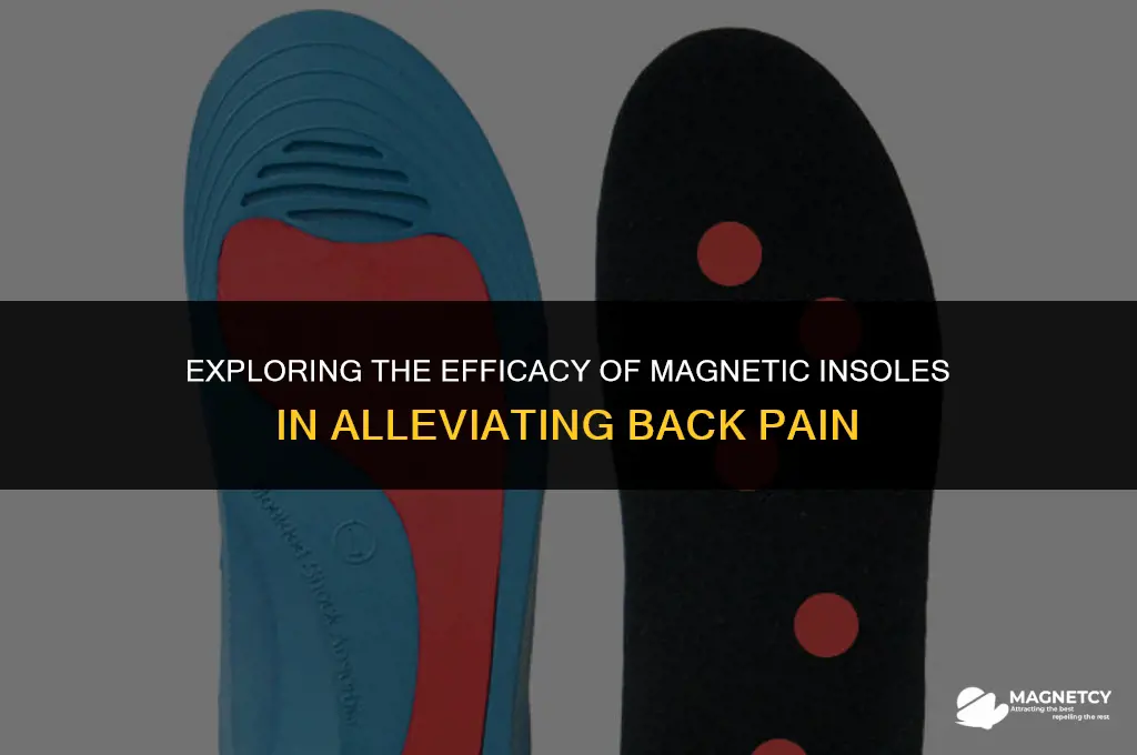 do magnetic insoles work for back pain