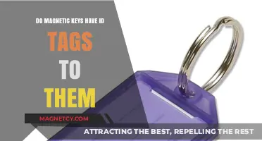 Exploring the Mystery: Do Magnetic Keys Have ID Tags?