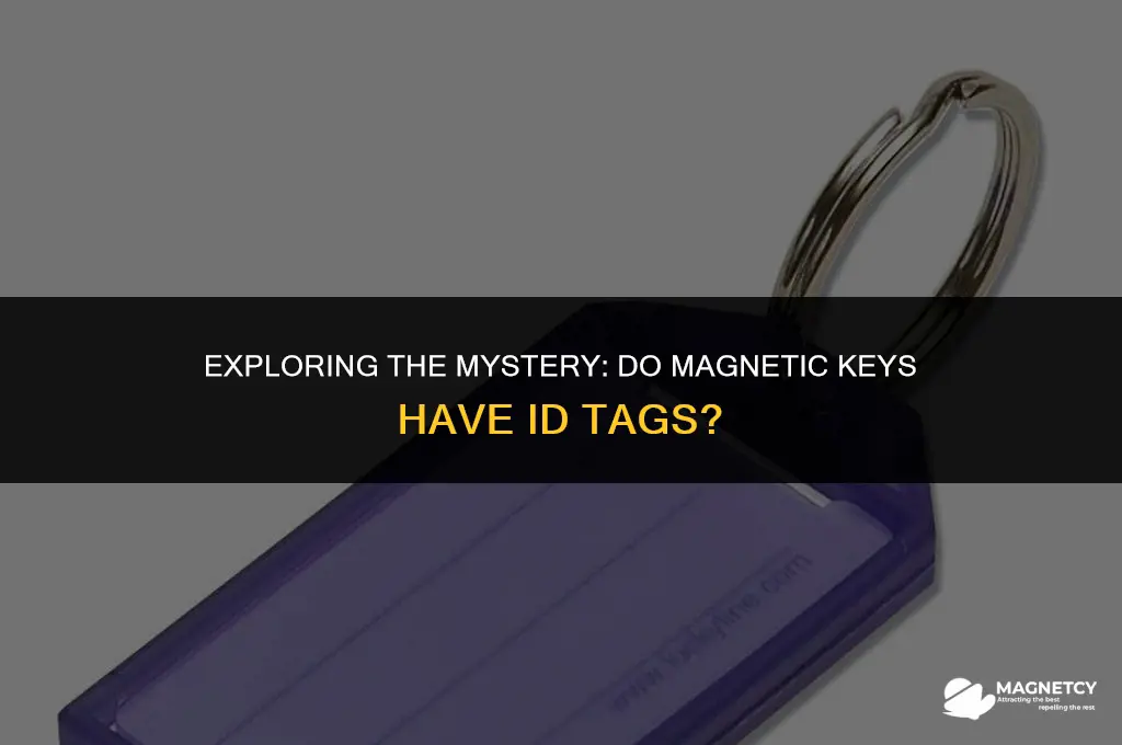 do magnetic keys have id tags to them