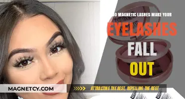 The Truth About Magnetic Lashes: Do They Cause Eyelash Loss?