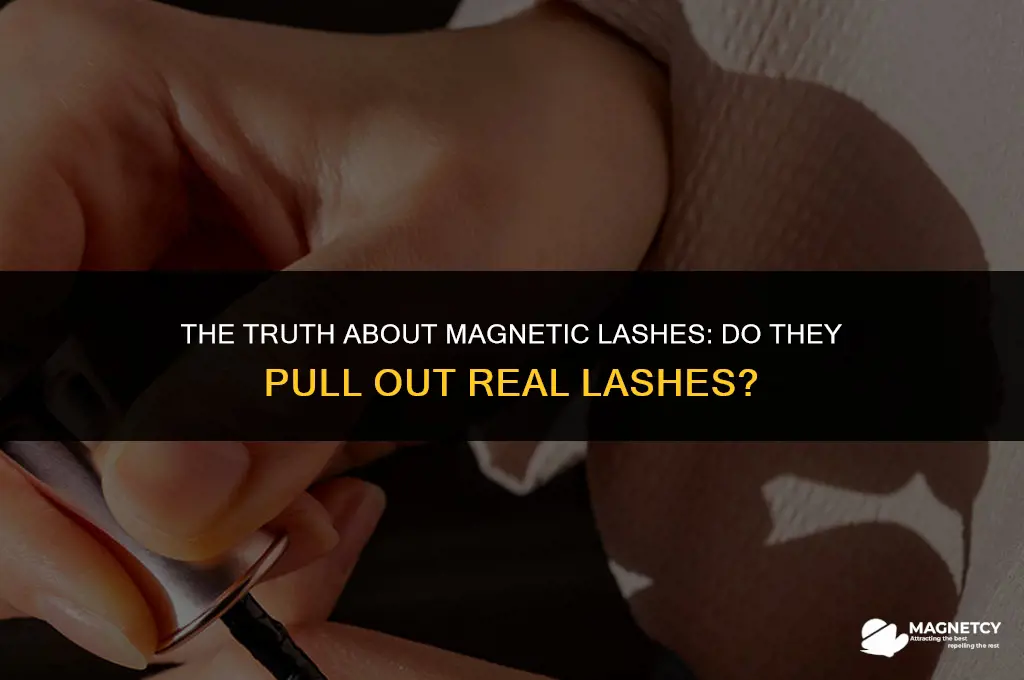 do magnetic lashes pull out real lashes