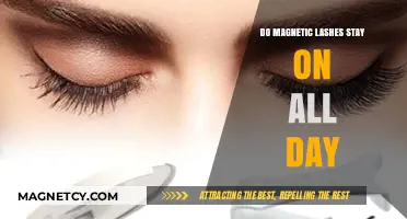 Do Magnetic Lashes Stay on All Day? A Comprehensive Guide