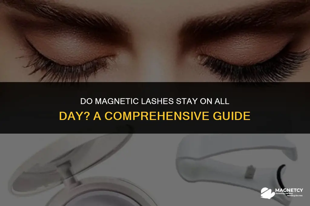 do magnetic lashes stay on all day
