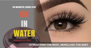 Waterproof Magnetic Lashes: Do They Really Stay Put?