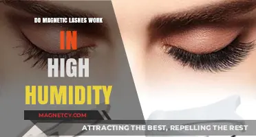 Magnetic Lashes: Do They Withstand High Humidity Conditions?